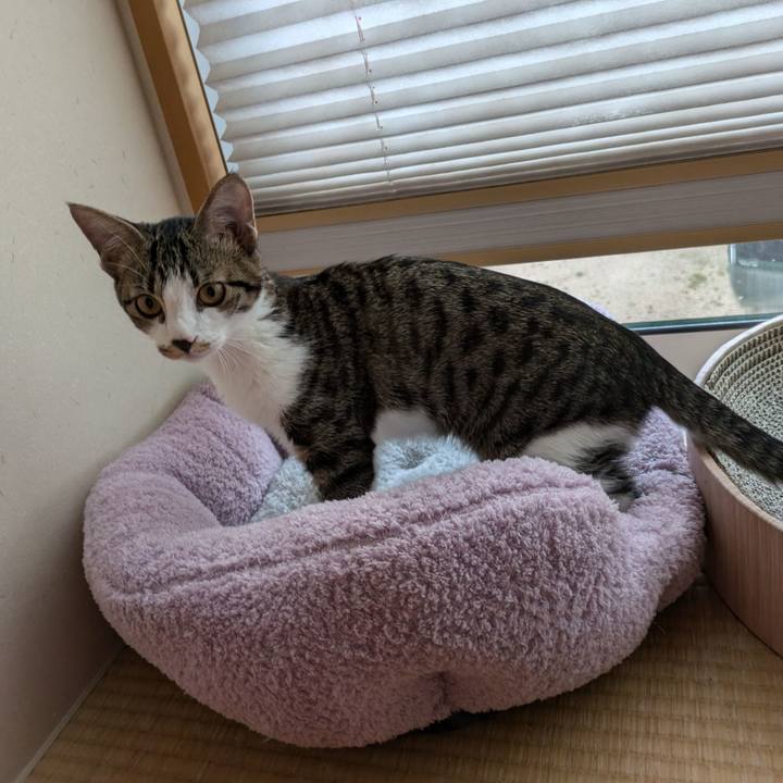 1da60515 b869 40b8 8ed5 72432e218133 1727404752189