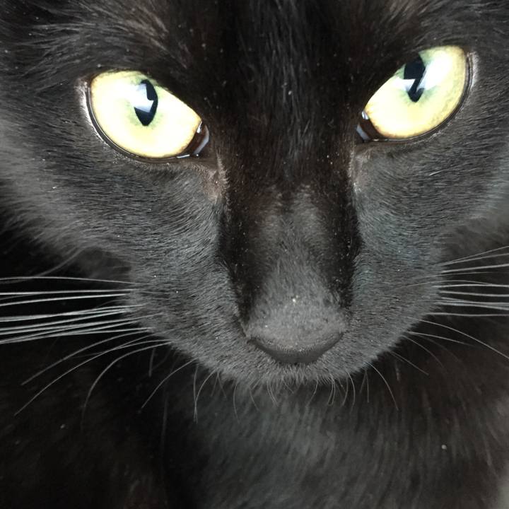 1da60b8e a38d 4694 88ff 39c8b09bd9a1 1580509522964