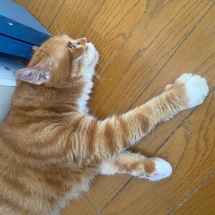 1da642f2 1b03 4b3d a4ad 845b99e0083b 1753056510183