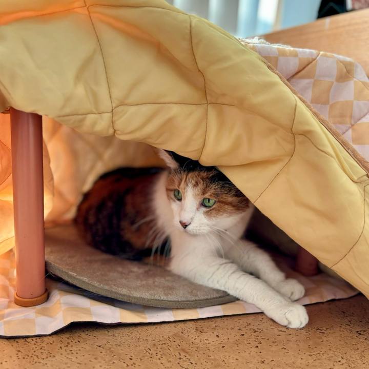 1da66ab5 c3a5 4938 accb b3fea9705254 1700090153461