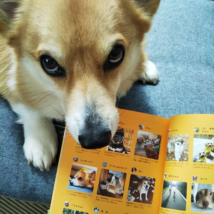 1da66b73 38ea 4fb3 a417 25ab044038a5 1557279413178