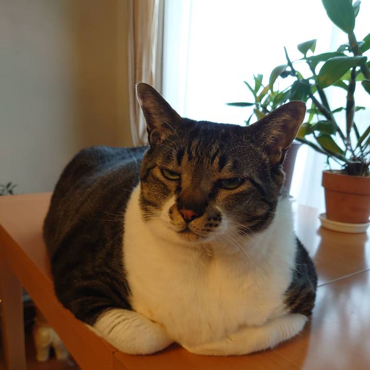 1da66dfe 0e7b 4fd4 b0e5 e504206b584e 1585612742522