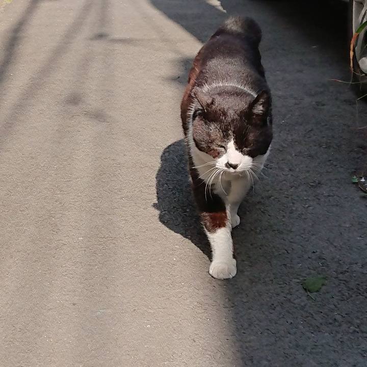 1da68e3f 791c 41c6 9aff 951bedde04ce 1684365321859