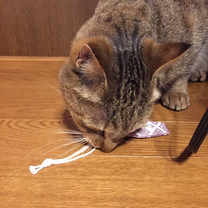 1da6affd 5954 4fe8 962b a12a6b053237 1581934632099