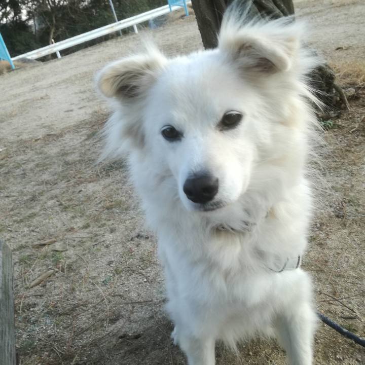 1da6b486 35bb 432b a3f5 433906ccd013 1516102646681