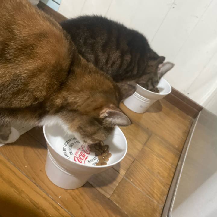 1da6c3f7 c6b4 4e21 804b ef4eda69b097 1766214147569