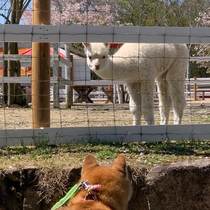 1da6d416 7db2 41c5 9623 d3809aca0efd 1618736127959