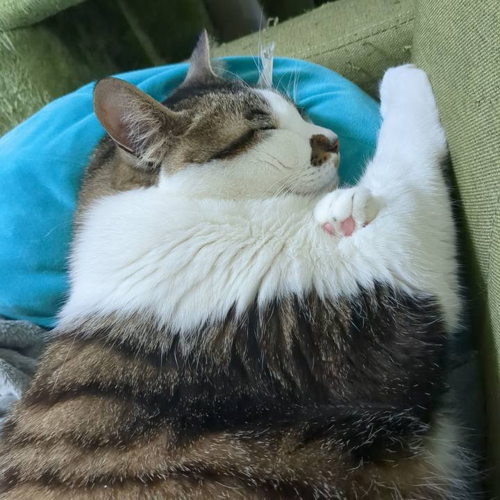 1da6d67d 85f4 4110 9397 f93073959c29 1710742148554