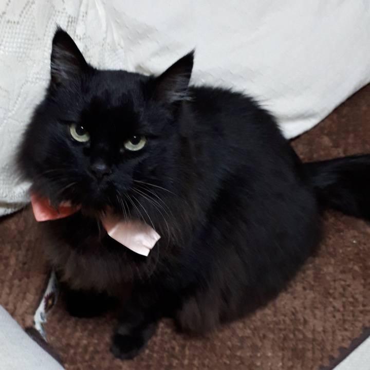 1da6d864 166f 46b4 a39b 359cded90a27 1521320676112