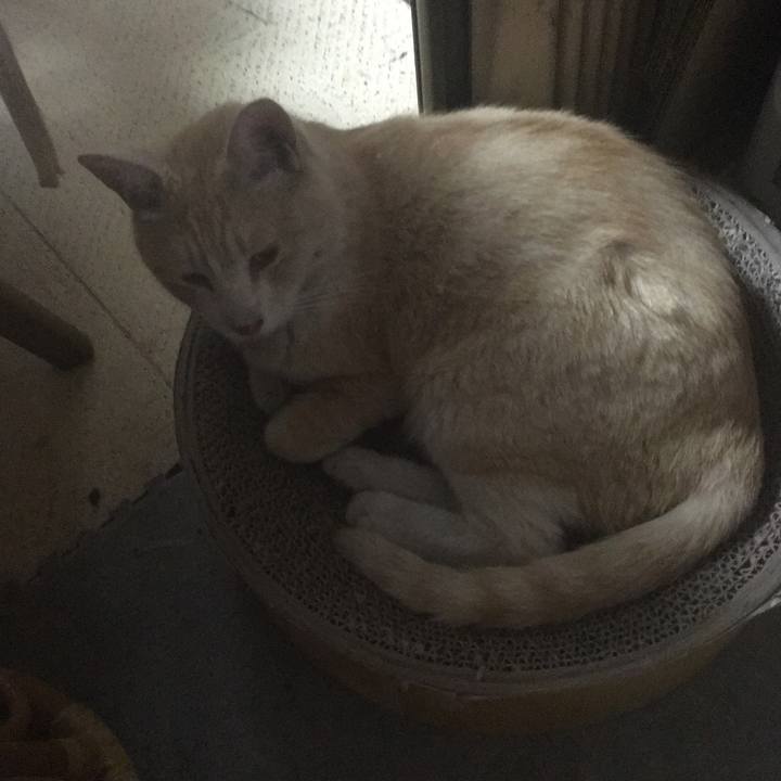 1da7088f f87e 40bf aa25 020c1a0daa80 1530740518340