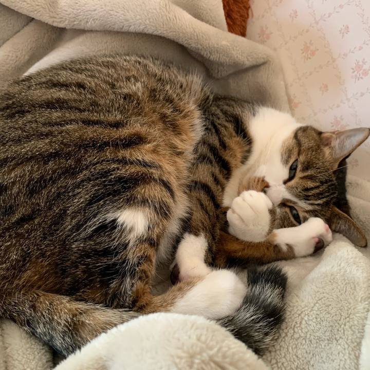 1da711d6 15ad 48e8 adce 6ee4b6badfe3 1637469201610