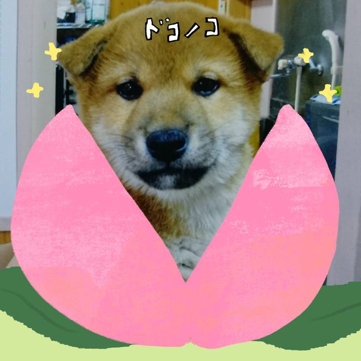 1da74756 1b7e 4dcd 836b addef2415b03 1771915414301