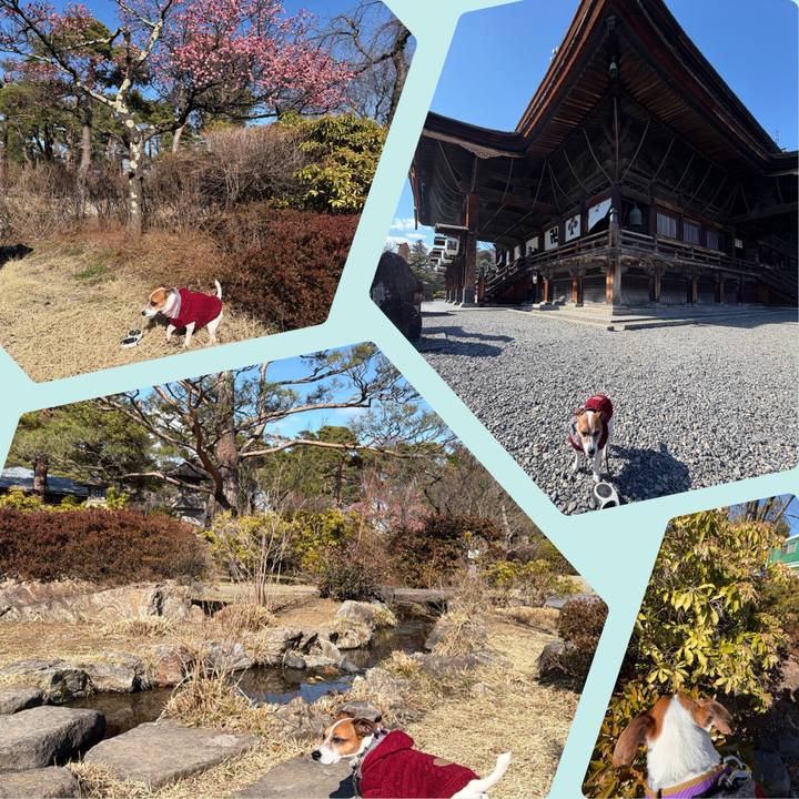 1da7d126 6460 4dd0 bb2f f91ae07e4ada 1773374065874