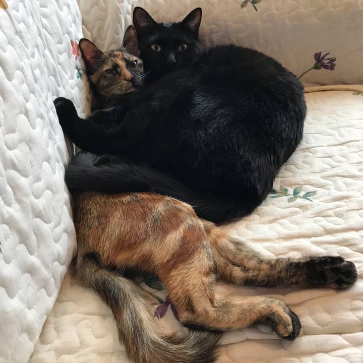 1da7e4a0 080b 4c12 b4f3 53e2b1cbbd01 1609290235081