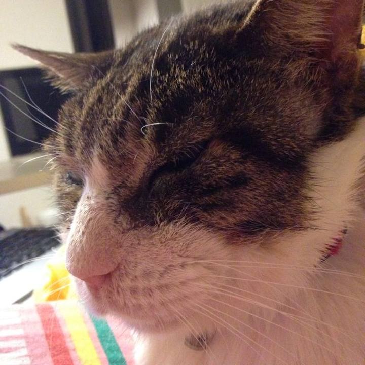 1da7fff0 a889 4bb4 91f5 ce2584a2b767 1613747657979