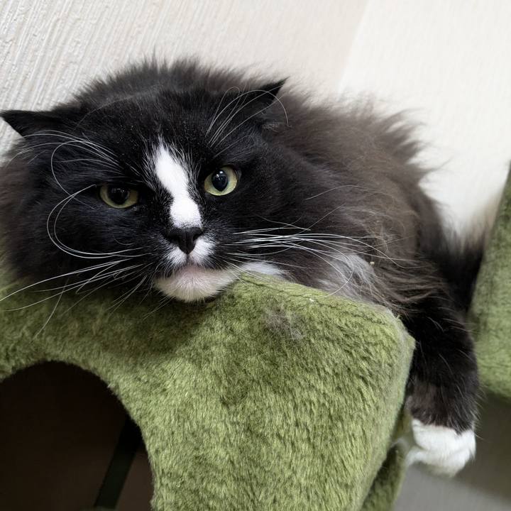 1da86009 bea7 460f b01d 03c5af104d41 1734270373172