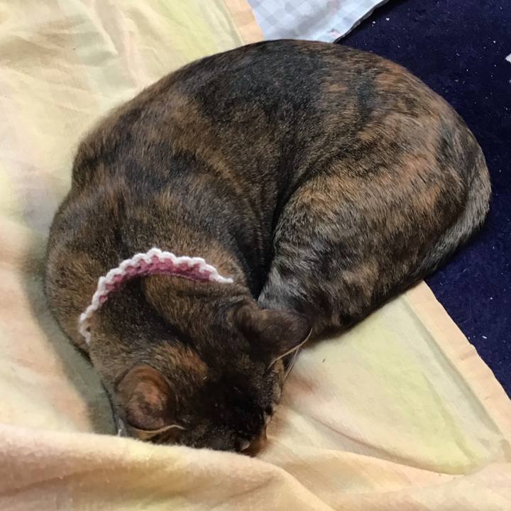 1da891aa 4c27 4221 8597 9e358318eca8 1736755864912