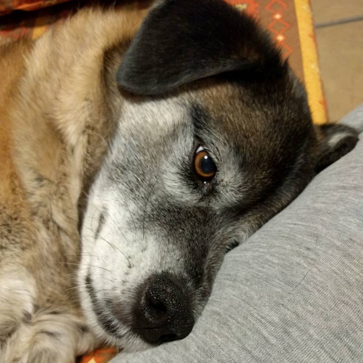 1da8c482 c370 4d7d 9056 ec3970b067aa 1553434992823