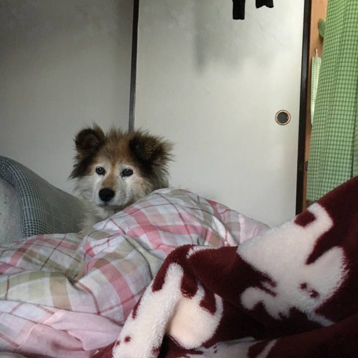 1da8f4cb 30d5 495b bd11 753342a57f00 1592706137167