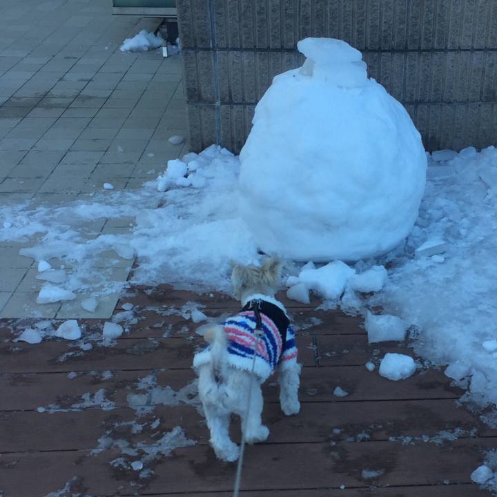 1da915ce 3409 4481 9633 348b5e26a8c1 1516880173600