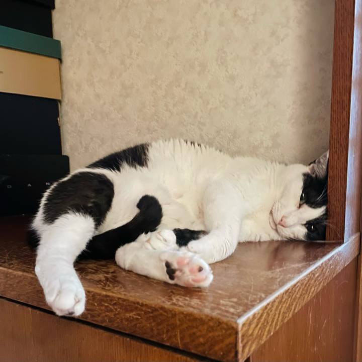 1da93e12 2b82 42e2 b532 04269ca281c8 1659484606125