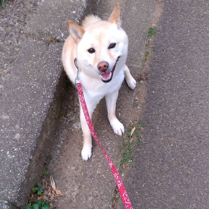 1da947c8 9c28 4c24 8ab1 dd884c8a3570 1559683538331