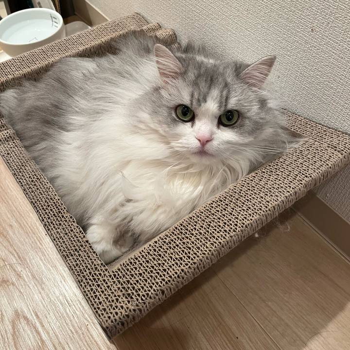 1da97d28 c46c 415d 969d e7d1a9392a1a 1644312026678