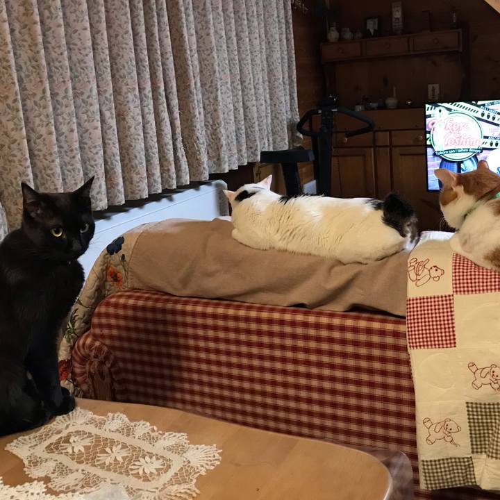 1da97ef8 9cb5 4f6d b9a0 64cf3eeffebd 1590663461615