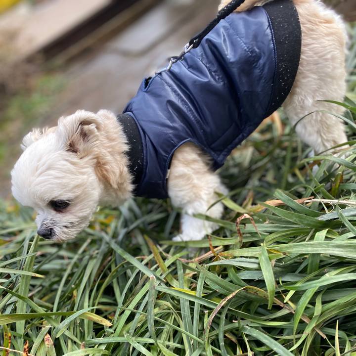 1da98d3d 0a15 4fbe 8b32 491e724eb777 1579840371947