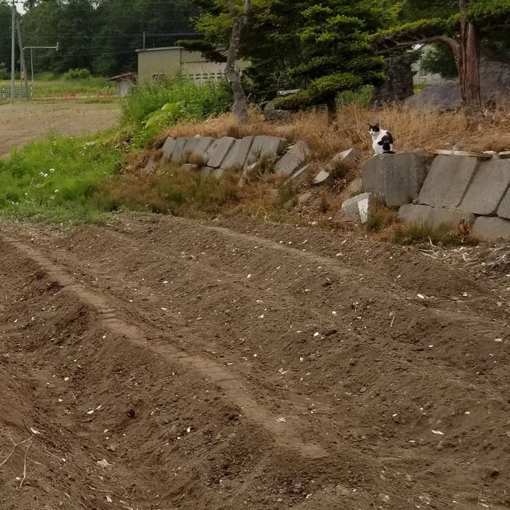 1da9b806 40ad 4b6a 87be 23970b1af5a4 1625392566547