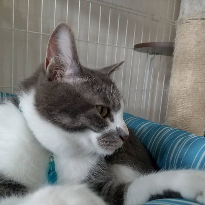 1da9e9a6 b7b6 4e11 a532 c7f258250177 1622603986354