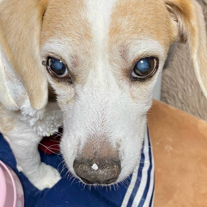 1da9f9ef 628e 4523 9c94 42c075ca6bf6 1612183813507