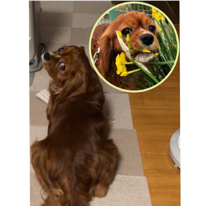 1da9ff70 7974 4a1e 947a dd34ae3b5589 1553611817580