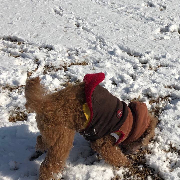 1daa03d3 cc7e 4bd3 8402 79ff619222ca 1548725440031