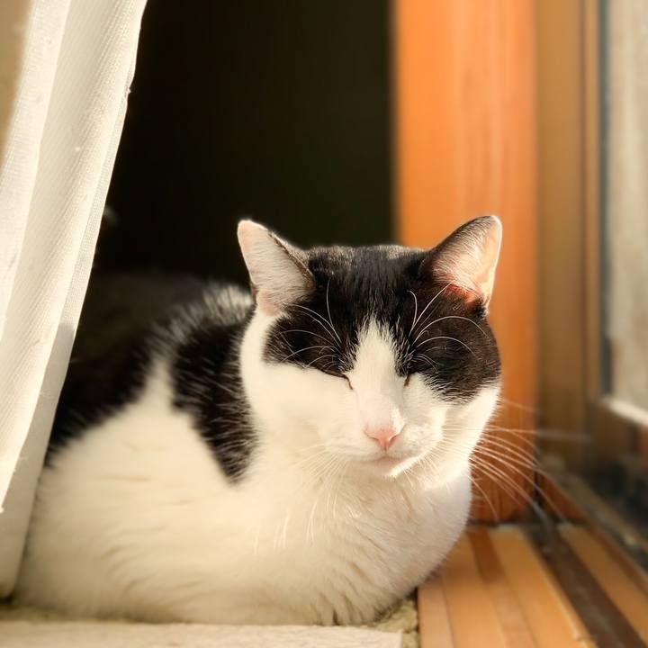 1daa1e7b 4a7b 49d7 bc25 12f9a4097938 1580264940068