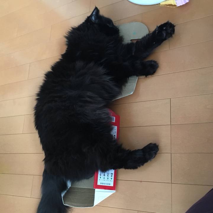 1daa56b0 2df9 4383 8cfb dd29a659cb3b 1549718345650