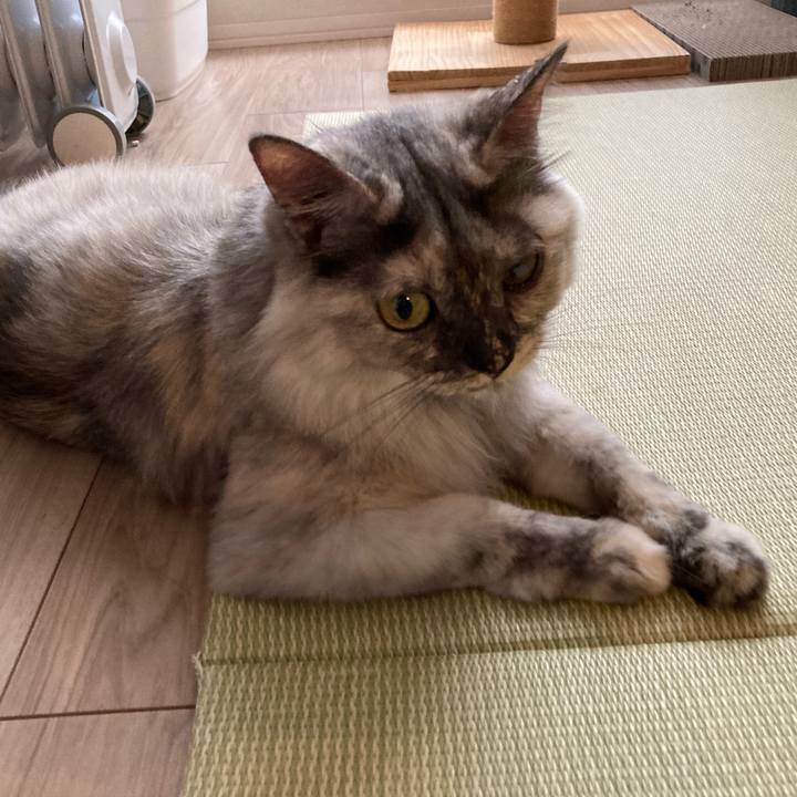 1daa5c1a 9906 489c 8d12 d70473acb660 1752538625563