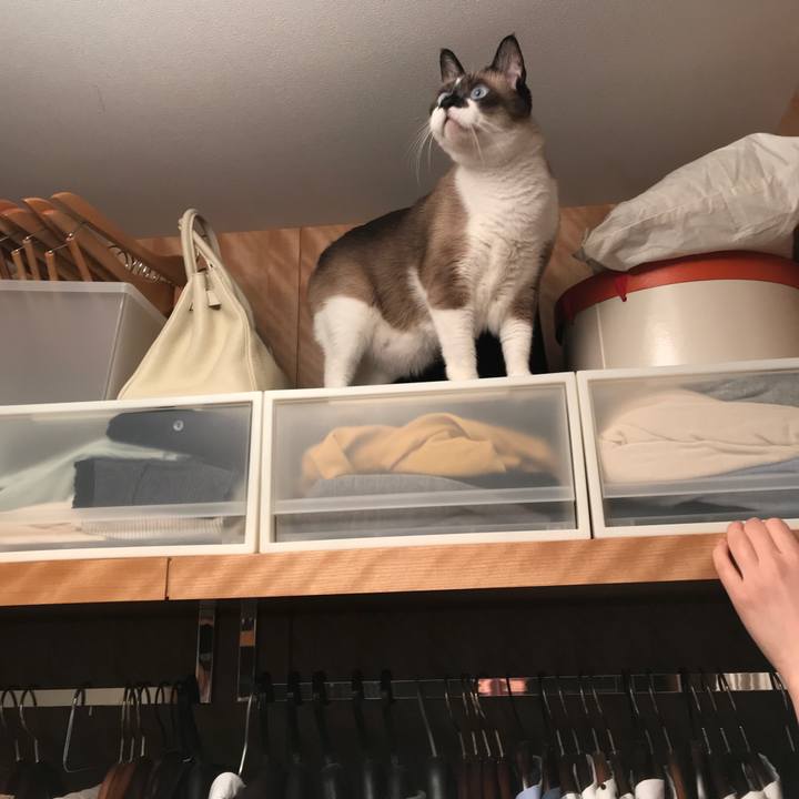 1daa80f3 d7e9 45bf 9520 eb0d37201754 1560399565942