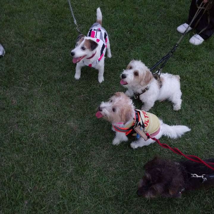 1daaa6e5 6b86 43b9 8205 5e9f4df7372c 1757929849071