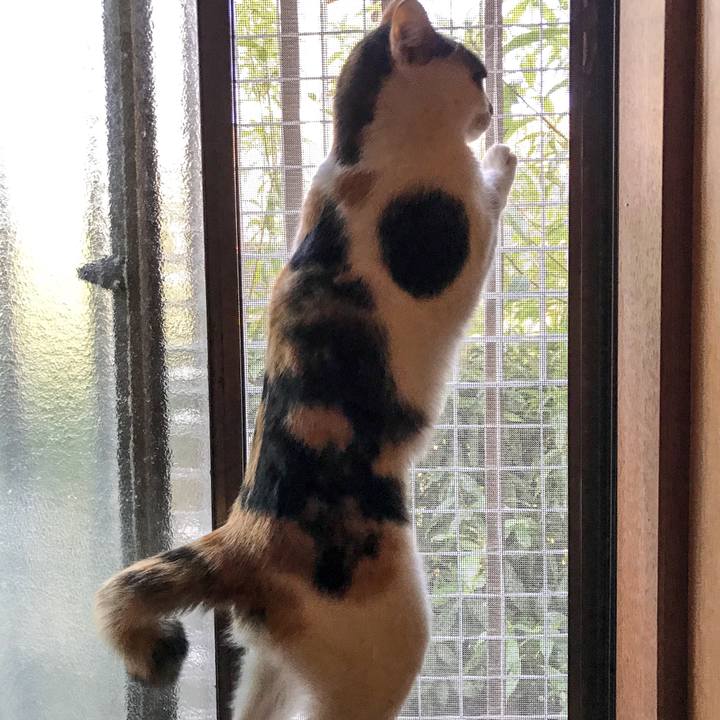 1daaaedb 65a5 4069 b349 1a069b636a5a 1509340536483