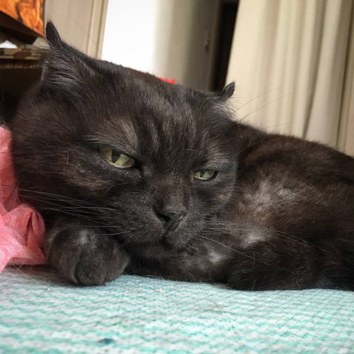 1daae785 3933 415a b24d c1f06c4b2c1f 1525168844551