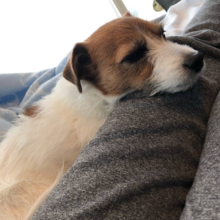 1dab5332 19d9 4293 81d5 3a82752b0aa6 1585659542901