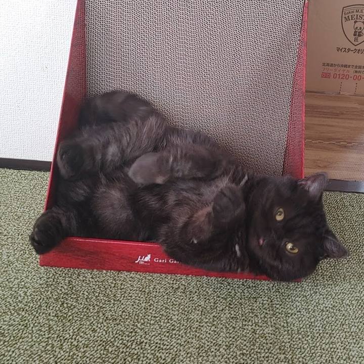 1dabb862 55e5 476b a9ef 11359f711fe5 1671705318566