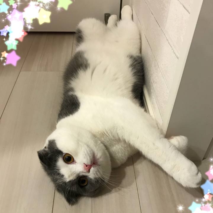 1dabf6b2 e809 42ec a7f0 0c554461d53f 1522837546707