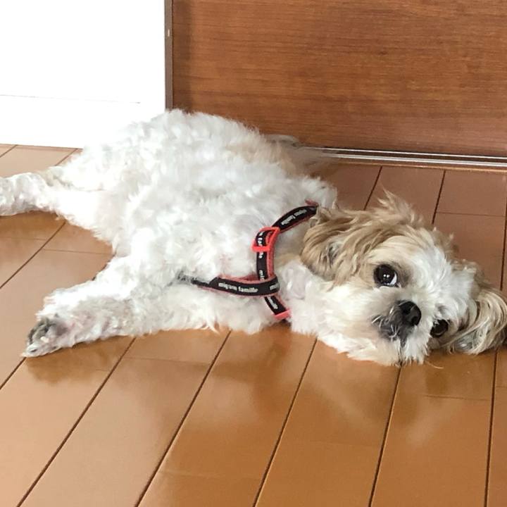 1dabfcdc 5167 4a21 893b ae11521cce6a 1629755017974