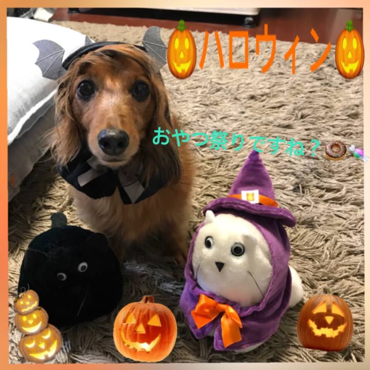 1dac30bd e811 4d3a 90d9 f5e421074c19 1509399183040