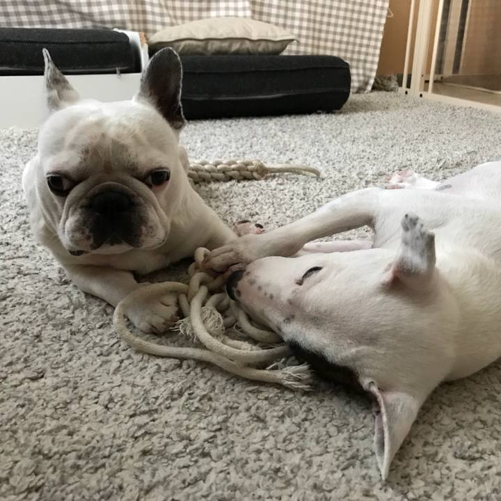 1dac77cf 1bbe 4638 acb9 113618c8c381 1535696629302