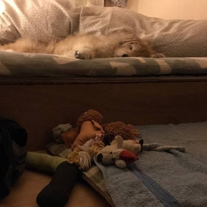 1dacb402 aeb1 4671 9a8f e88389547fe2 1619401829873