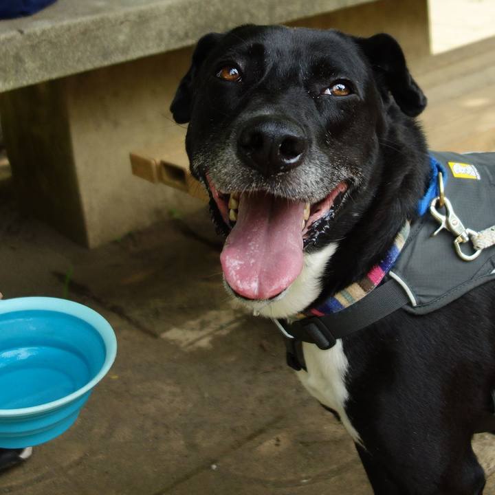 1dacddc8 d562 4fe4 be72 b1a43270d7cd 1653437236195