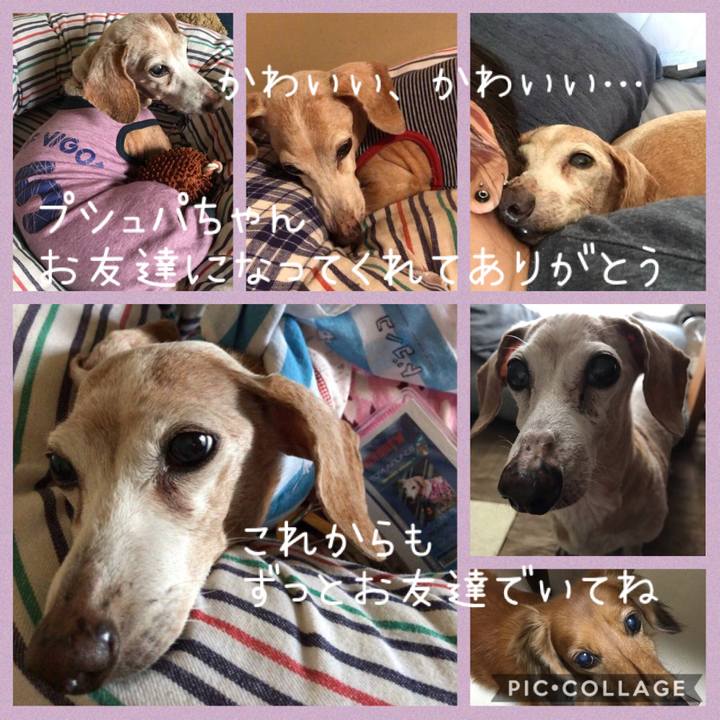 1dad1ee9 001f 4ac8 a96c ee8f68dc1a8b 1574753137314